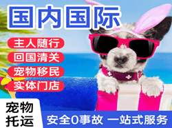 赤峰机场快运国际宠物托运 【国